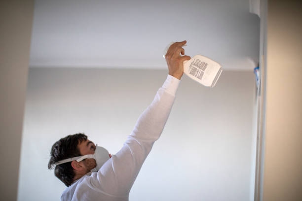 Best Certified Mold Removal  in Cottageville, SC