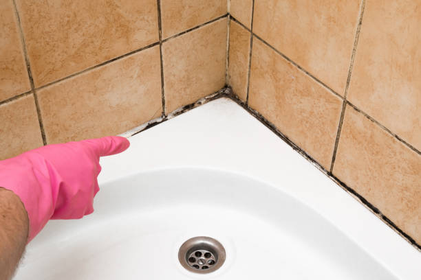 Best Crawl Space Mold Removal  in Cottageville, SC